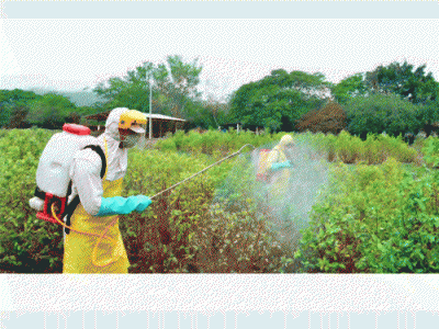 Agricultura Agroquimicos Sanidad Ambiental